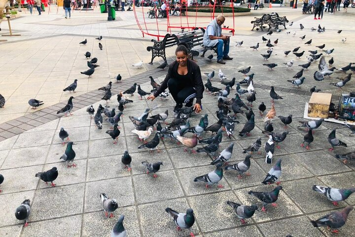 Puerto Plata Cultural City Tour - Half Day Experience - Photo 1 of 16